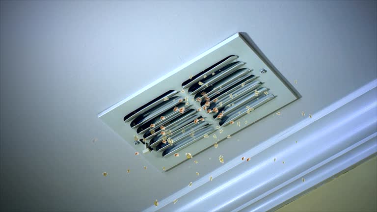 Best HVAC System Cleaning  in Venersborg, WA