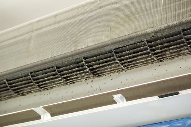Best Best Air Duct Cleaning Company  in Venersborg, WA